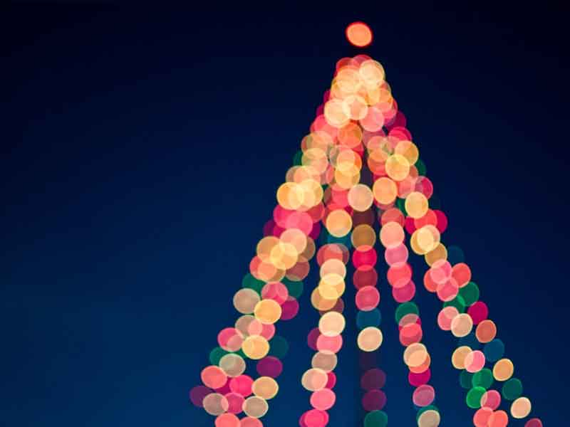 Christmas Celebration